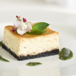 Cherry Blossom Cheesecake