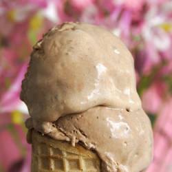 Chestnut & Chocolate Ice Cream