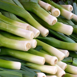 Portland Farmers Market April 2009