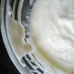 Homemade Yogurt