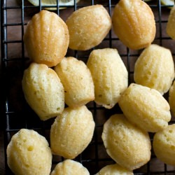 Lemon Madeleines