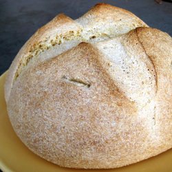 Sourdough Cornmeal Loaf