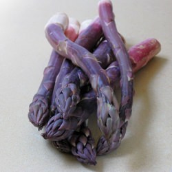 Purple Asparagus
