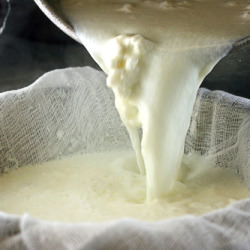 Homemade Ricotta Cheese