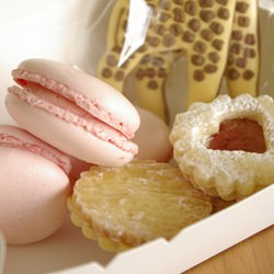 Collecting Sunday Afternoon Tea