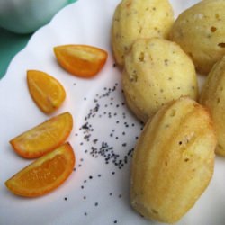 Kumquat Poppyseed Madeleines