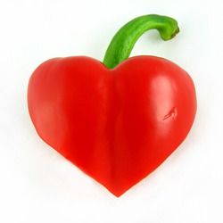 For The Love of Food