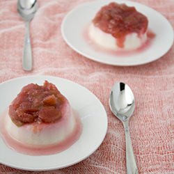 Yogurt Panna Cotta