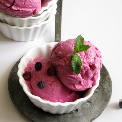 Indian Berry Frozen Yogurt