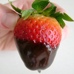 Strawberries and Chocolate