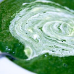 Sunchoke Ramp and Nettle Soup