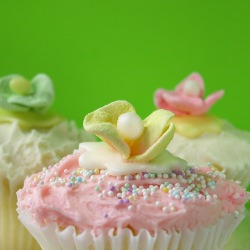 Mother’s Day Cupcakes~