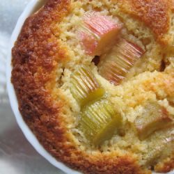 Individual Rhubarb Pudding Cakes