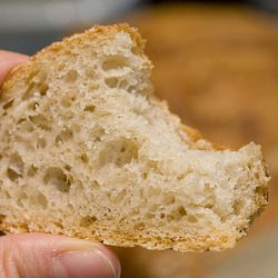 Whole Wheat No Knead Bread