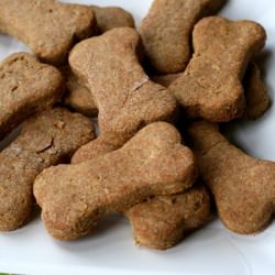 Dog Treats