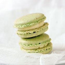 Creme Brulee Pistachio Macarons