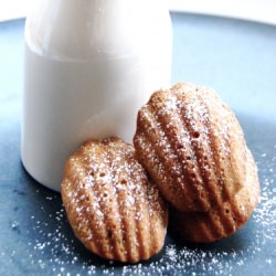 Zucchini Madeleines