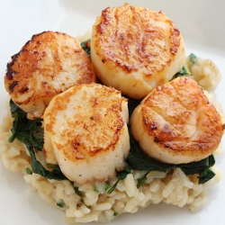 Seared Scallops over Wilted Spinach
