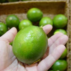 Tips: How to Pick Produce