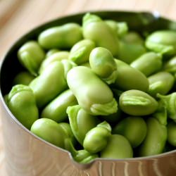 How to Cook Fava Beans