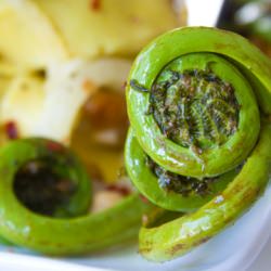 Fiddlehead Chickpea Pasta