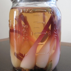 Ramp Pickles