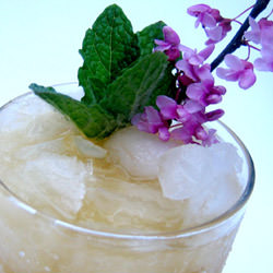Are You a Lurker?  Drink a Mai Tai!