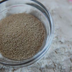 Yeast & Flour for Anadama Bread