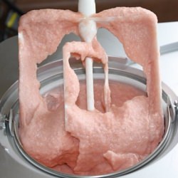 Rhubarb Sorbet
