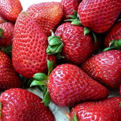 Chocolate Covered Strawberries