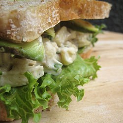 Grilled Chicken Salad w/ Avocado