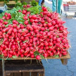 NYC Greenmarket Photo Tour