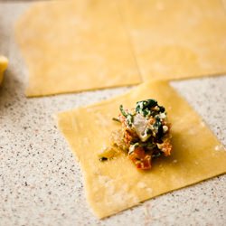 Hand Made Tortellini