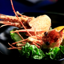 Yuzen Japanese Restaurant