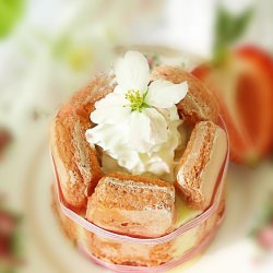 Roses De Reims Charlottes