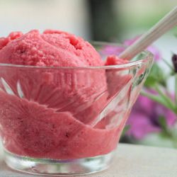 Strawberry Frozen Yogurt