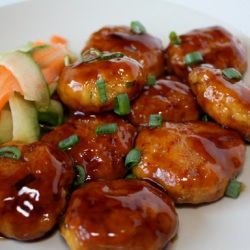 Tsukune/Chicken Patties