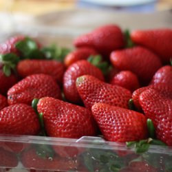 Fresh Strawberry Gelato