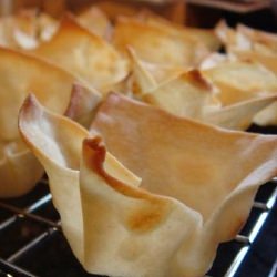 Homemade Wonton Cups