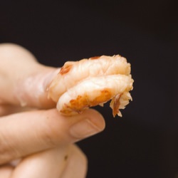 How to Eat Crawfish
