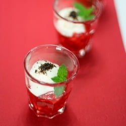 Frozen Yogurt