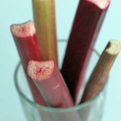 Buttermilk Rhubarb Bread
