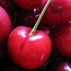 Cherries!