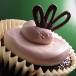 Chocolate Cupcakes