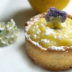 Lemon Tarts and Ice Cream Cups~