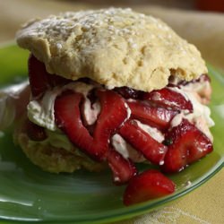 Classic Strawberry Shortcake