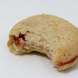 Amaretti Cookie