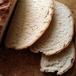 Herb Bread