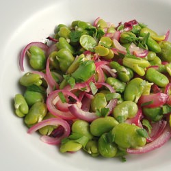 Fava Beans with Red Onions