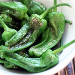 Pimientos de Padron